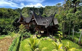 Padi Ecolodge